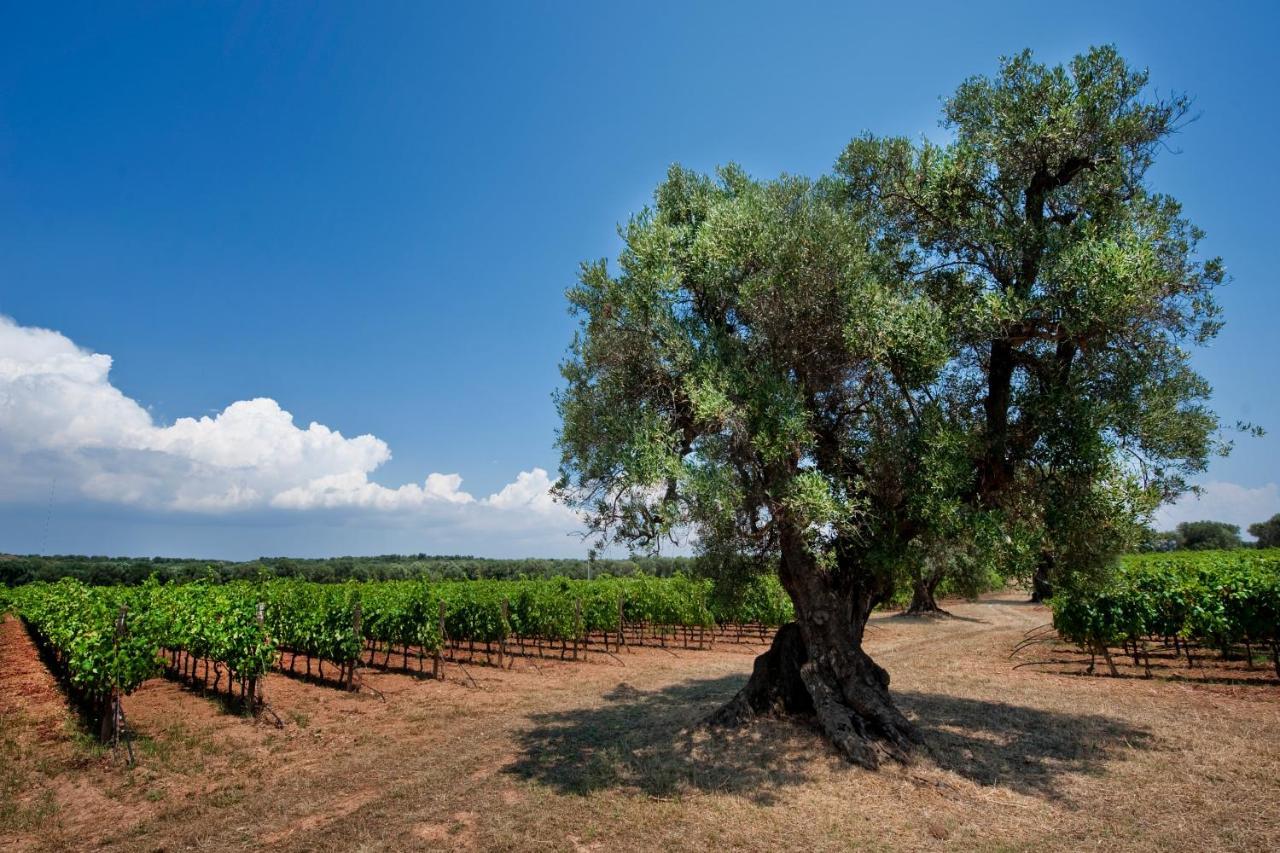 Masseria Le Fabriche Maruggio Exterior foto