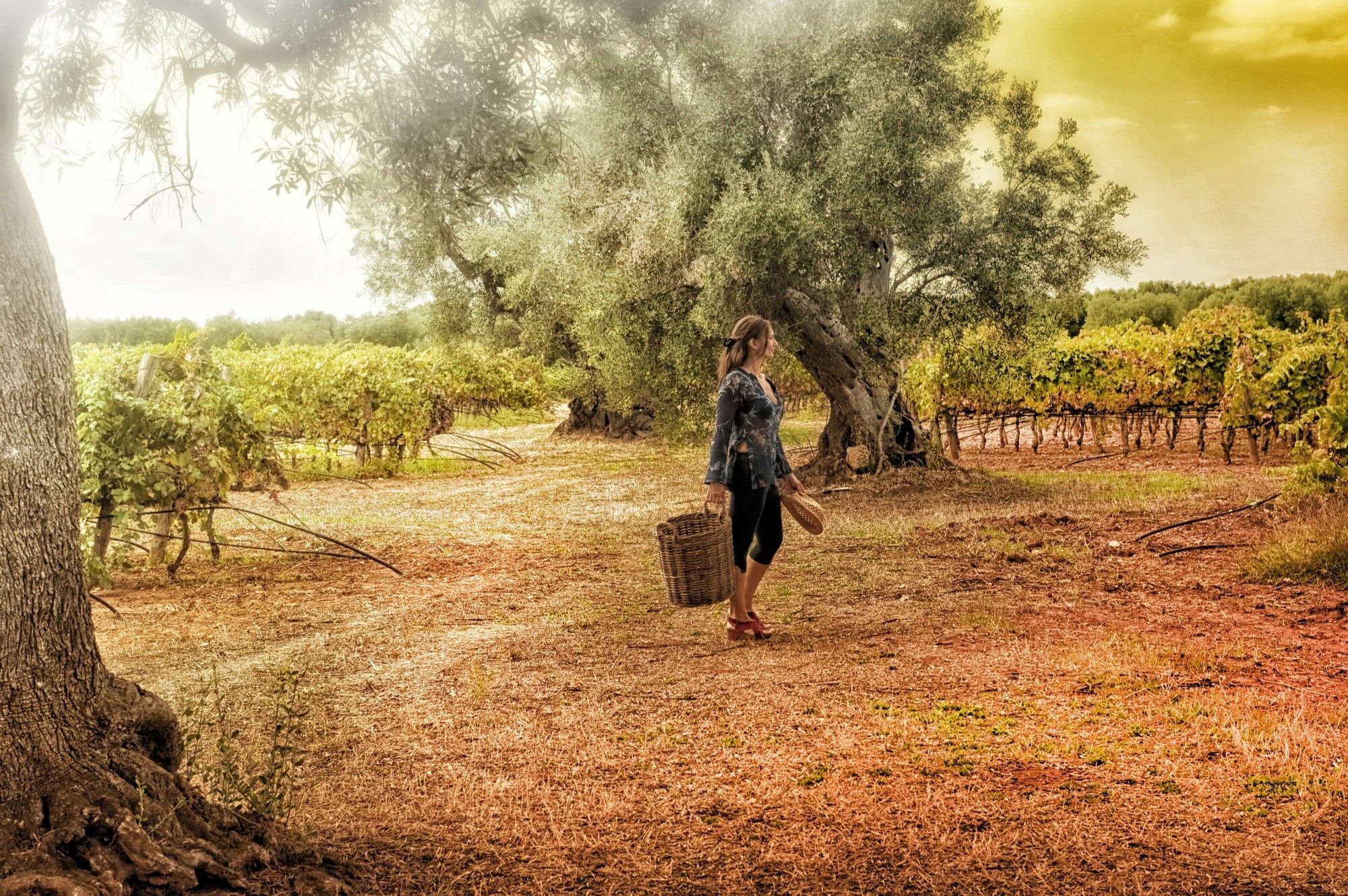 Masseria Le Fabriche Maruggio Exterior foto